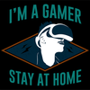 Koszulka  I'am a gamer stay at home WYBIERZ KOLOR KOSZULKI I FASON