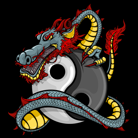 Koszulka Yin i Yang WYBIERZ KOLOR KOSZULKI I FASON