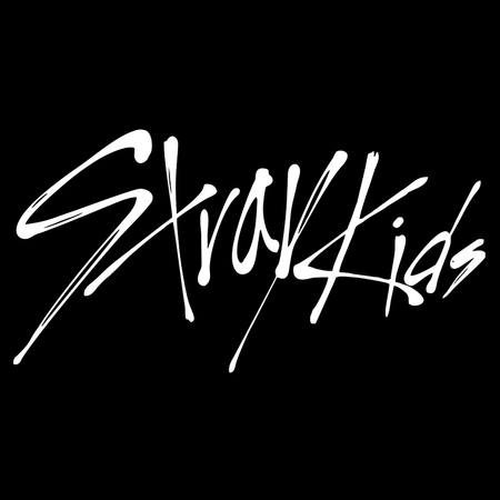 Koszulka Czarna Stray Kids WYBIERZ KOLOR KOSZULKI I FASON