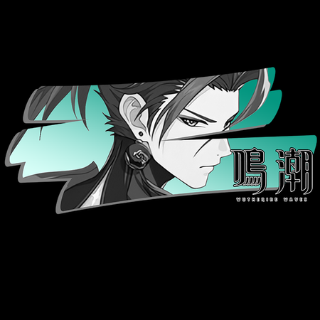 Koszulka Czarna Wuthering Waves - WYBIERZ FASON I KOLOR KOSZULKI