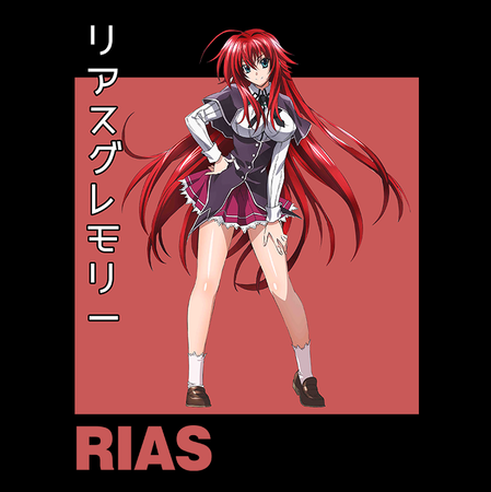 Koszulka Biała Highschool DxD - WYBIERZ KOLOR KOSZULKI I FASON