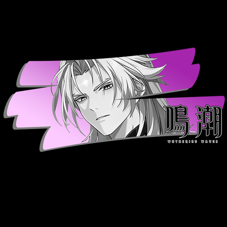 Koszulka Czarna Wuthering Waves - WYBIERZ FASON I KOLOR KOSZULKI