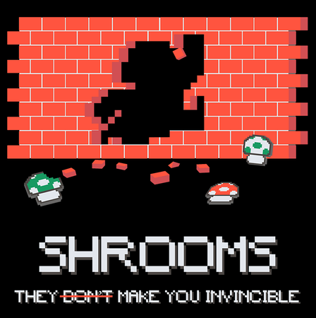 Koszulka Super Mario Bros. KOLOR KOSZULKI I FASON