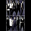 Torba z uszami z Super Junior
