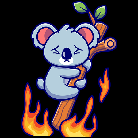 Koszulka Koala KOLOR KOSZULKI I FASON