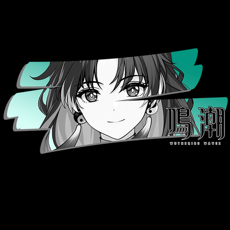 Koszulka Czarna Wuthering Waves - WYBIERZ FASON I KOLOR KOSZULKI