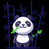 Koszulka Panda KOLOR KOSZULKI I FASON