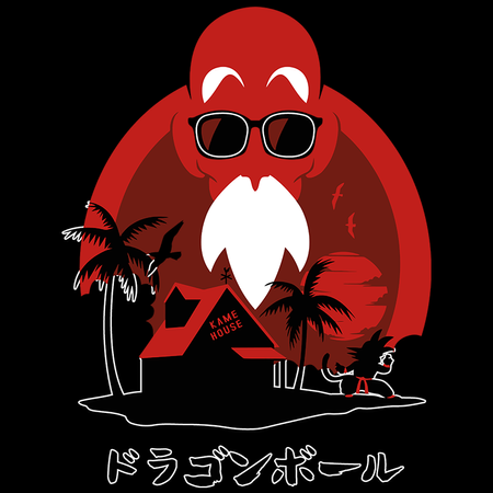 Koszulka Czarna Dragon Ball - WYBIERZ KOLOR KOSZULKI I FASON