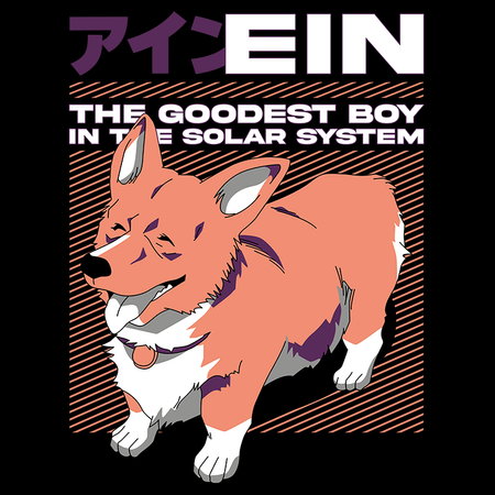 Koszulka Biała Cowboy Bebop - WYBIERZ KOLOR KOSZULKI I FASON