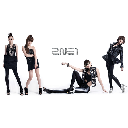 Koszulka 2NE1 WYBIERZ FASON KOSZULKI