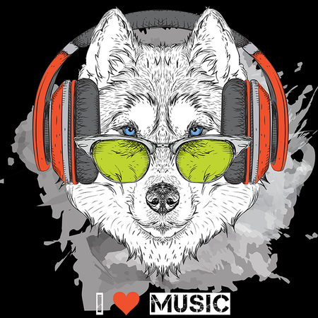 Koszulka Muzyka KOLOR KOSZULKI I FASON