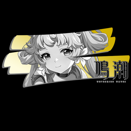 Koszulka Biała Wuthering Waves - WYBIERZ FASON I KOLOR KOSZULKI