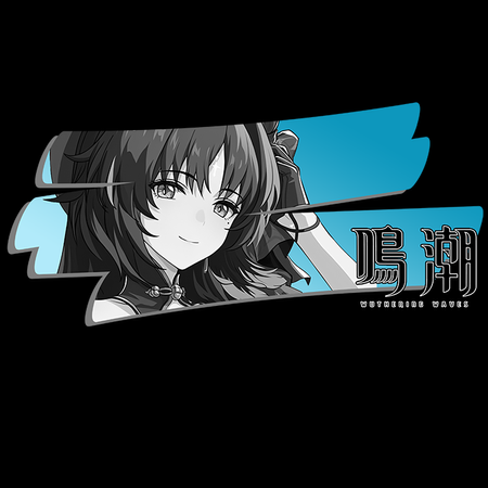 Koszulka Czarna Wuthering Waves - WYBIERZ FASON I KOLOR KOSZULKI 