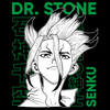 Koszulka Czarna Dr. Stone - WYBIERZ KOLOR KOSZULKI I FASON
