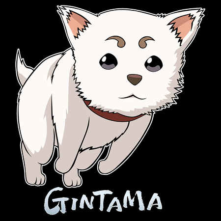 Koszulka Biała Gintama WYBIERZ KOLOR KOSZULKI I FASON