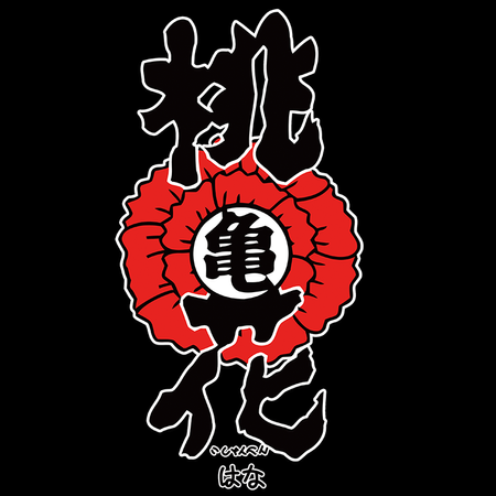 Koszulka Czarna Dragon Ball - WYBIERZ KOLOR KOSZULKI I FASON