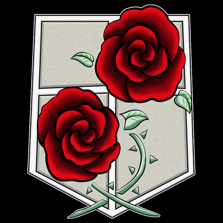 Koszulka Biała Attack on titan WYBIERZ KOLOR KOSZULKI I FASON