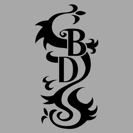 Koszulka szara Tokyo Revengers Black Dragon WYBIERZ FASON KOSZULKI