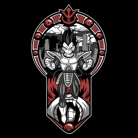 Koszulka Czarna Dragon Ball - WYBIERZ KOLOR KOSZULKI I FASON