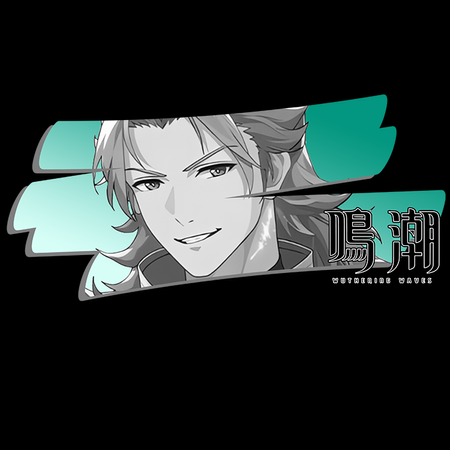 Koszulka Czarna Wuthering Waves - WYBIERZ FASON I KOLOR KOSZULKI