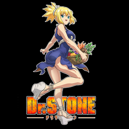 Koszulka Czarna Dr. Stone - WYBIERZ KOLOR KOSZULKI I FASON