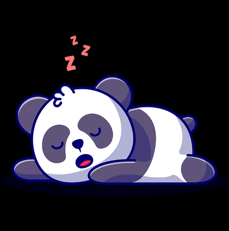 Koszulka Panda KOLOR KOSZULKI I FASON