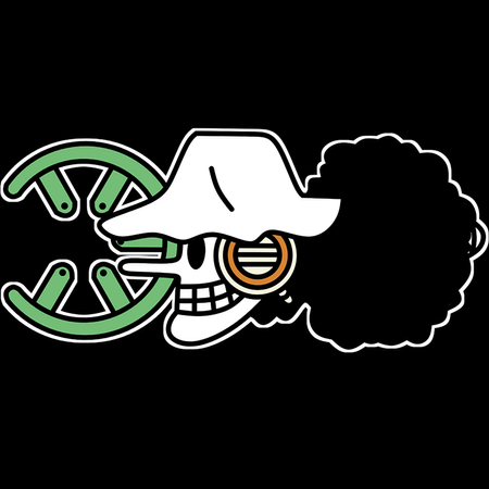 Koszulka Czarna One Piece - WYBIERZ KOLOR KOSZULKI I FASON